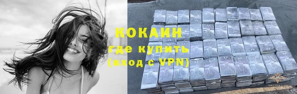 молекула духа Алексеевка