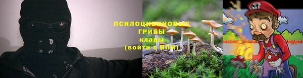 молекула духа Алексеевка