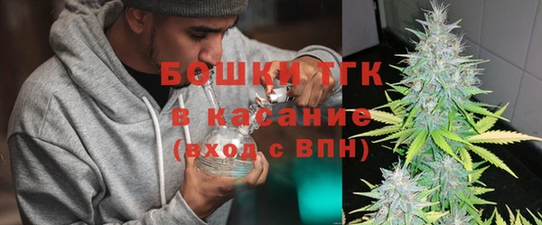 молекула духа Алексеевка