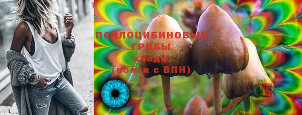 молекула духа Алексеевка
