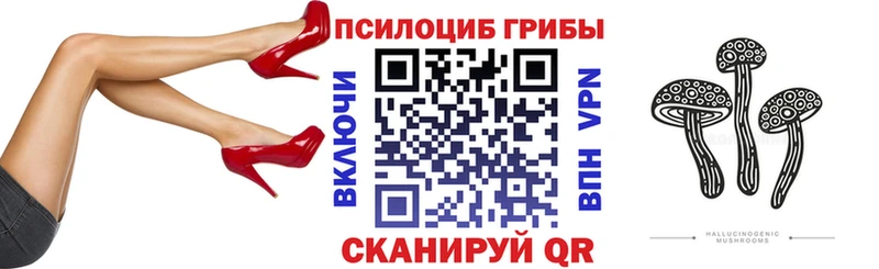 Галлюциногенные грибы Cubensis  Александровское 